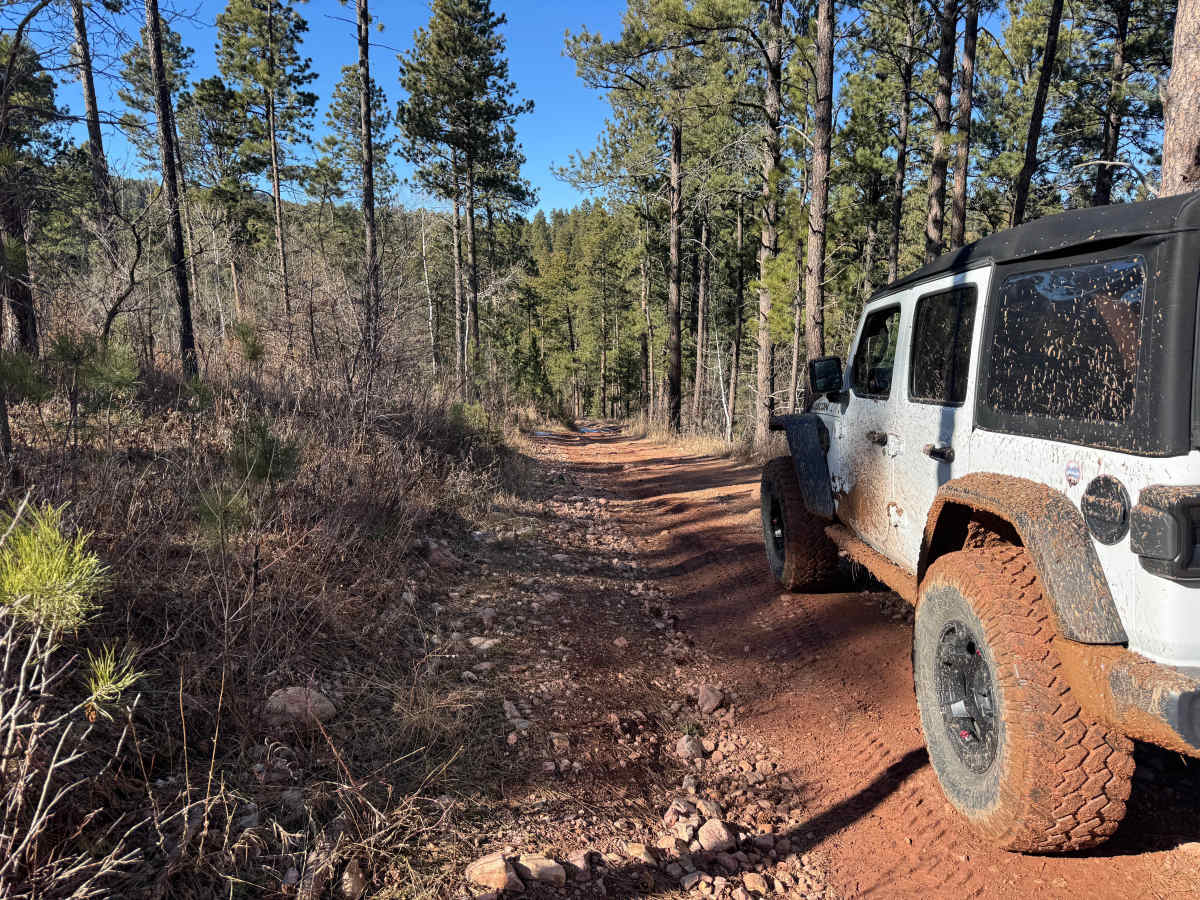 FS 567.1 trail photo