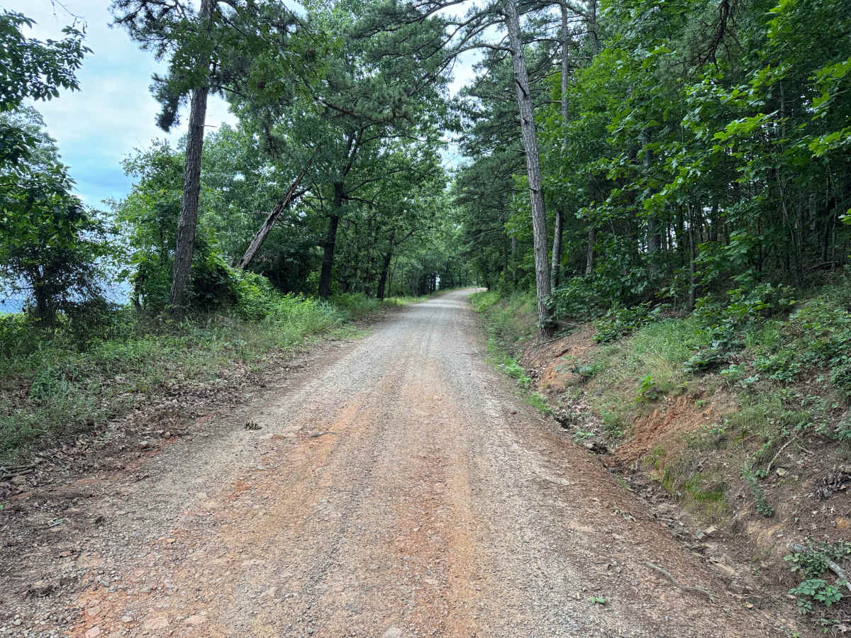 County Road 4501 photo 2