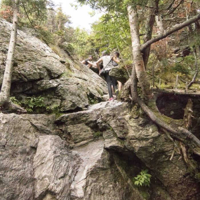 Near Halfway House Trail to Sunset Ridge Near Halfway House Trail to Sunset Ridge