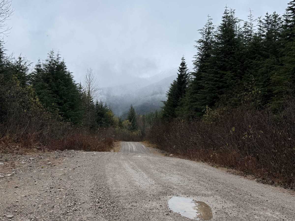 Kleanza Forest Service Road trail photo