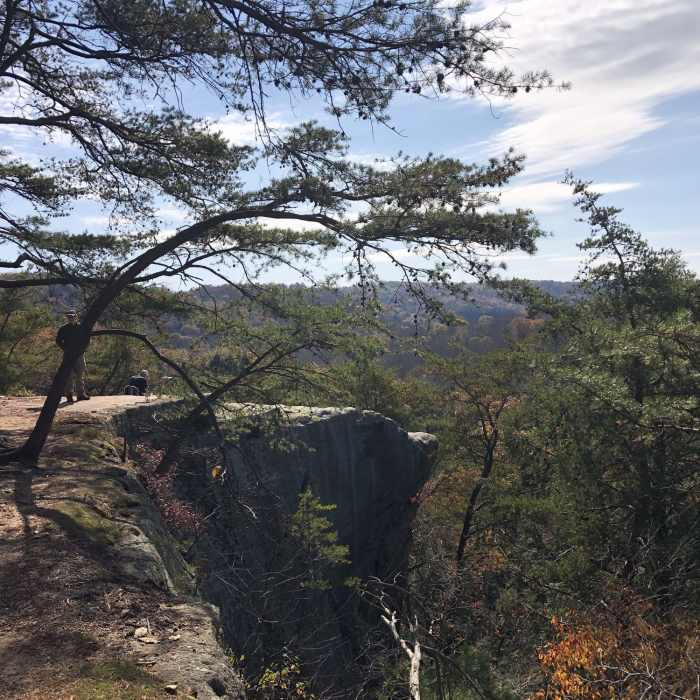 Near Airplane Rock Bridle Trail