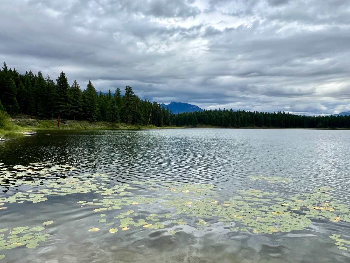 North Star Lake trail photo