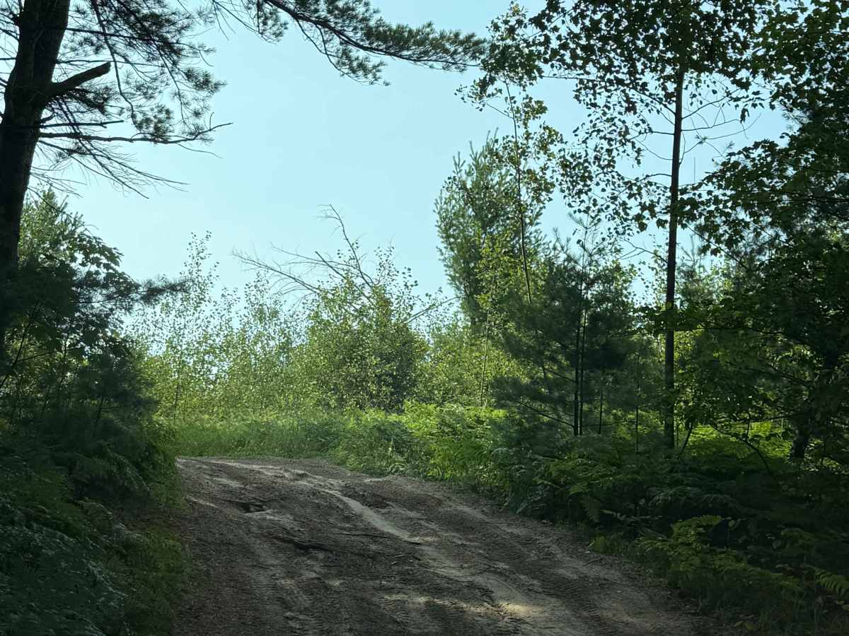 TR Trail photo 6