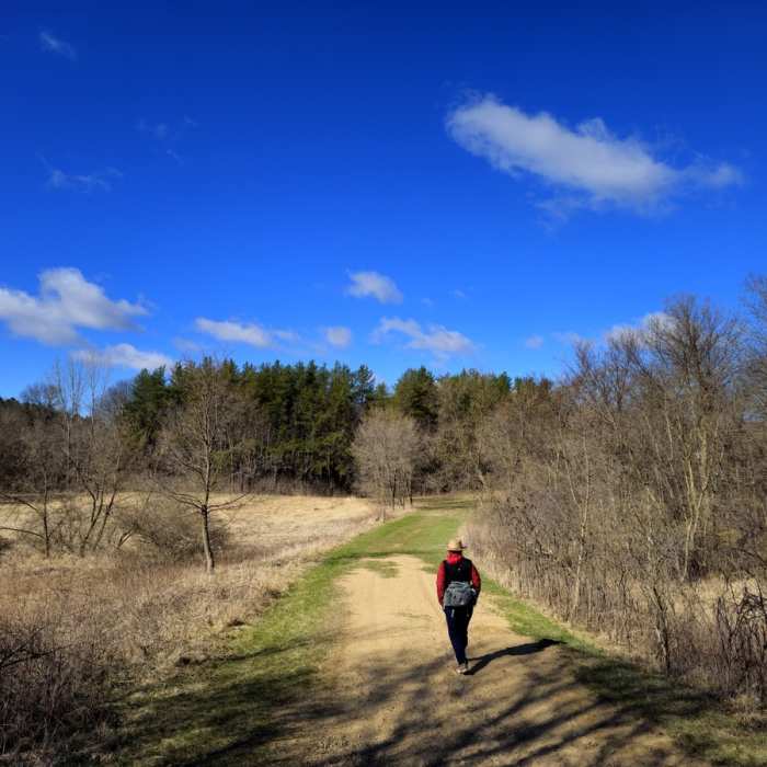 Near Lebanon Hills Central Near Lebanon Hills Central