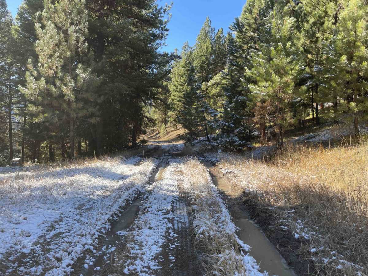 Old Coal Creek Dead End trail photo