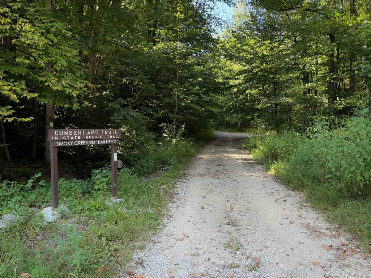 SW22 photo 2