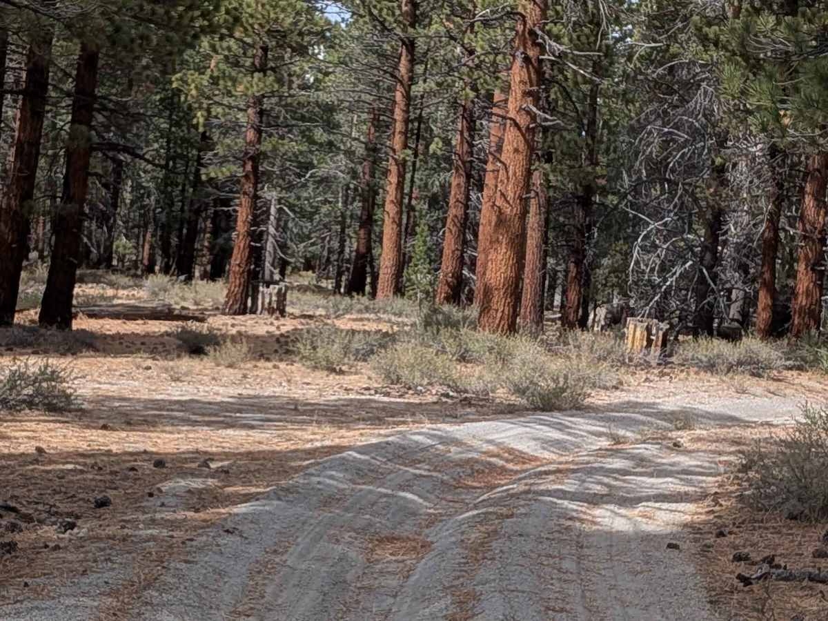 Old Railroad Loop - FS 1S92 trail photo