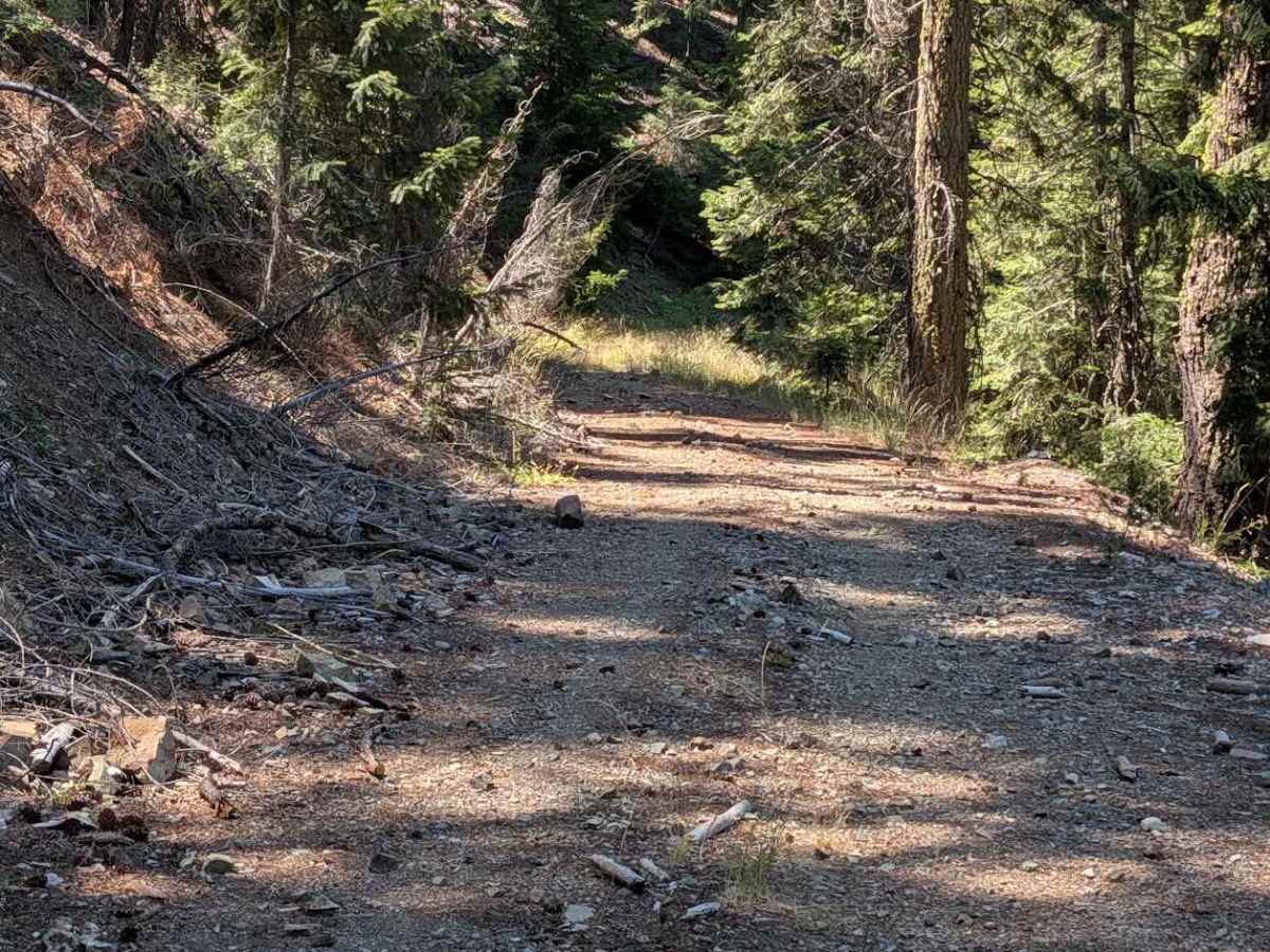 Eagle Road - FS 4N32 trail photo