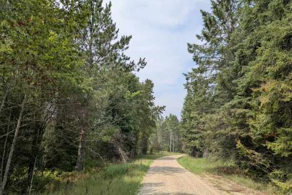Sheep Ranch Road