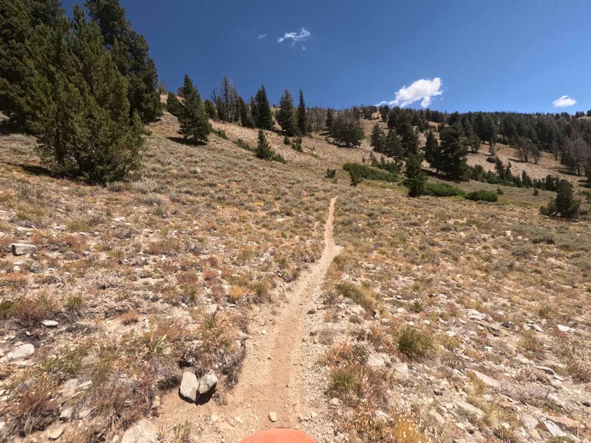 Johnson Creek - FS 7181 photo 5