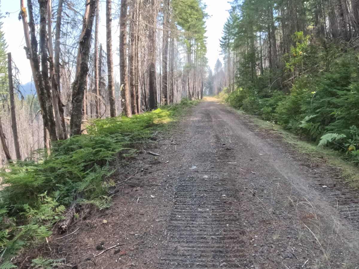 Mari-linn Road - FS 2242000 photo 6