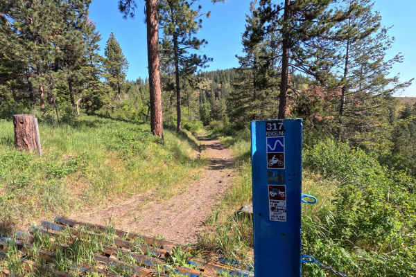 Fence Line - Trail 317