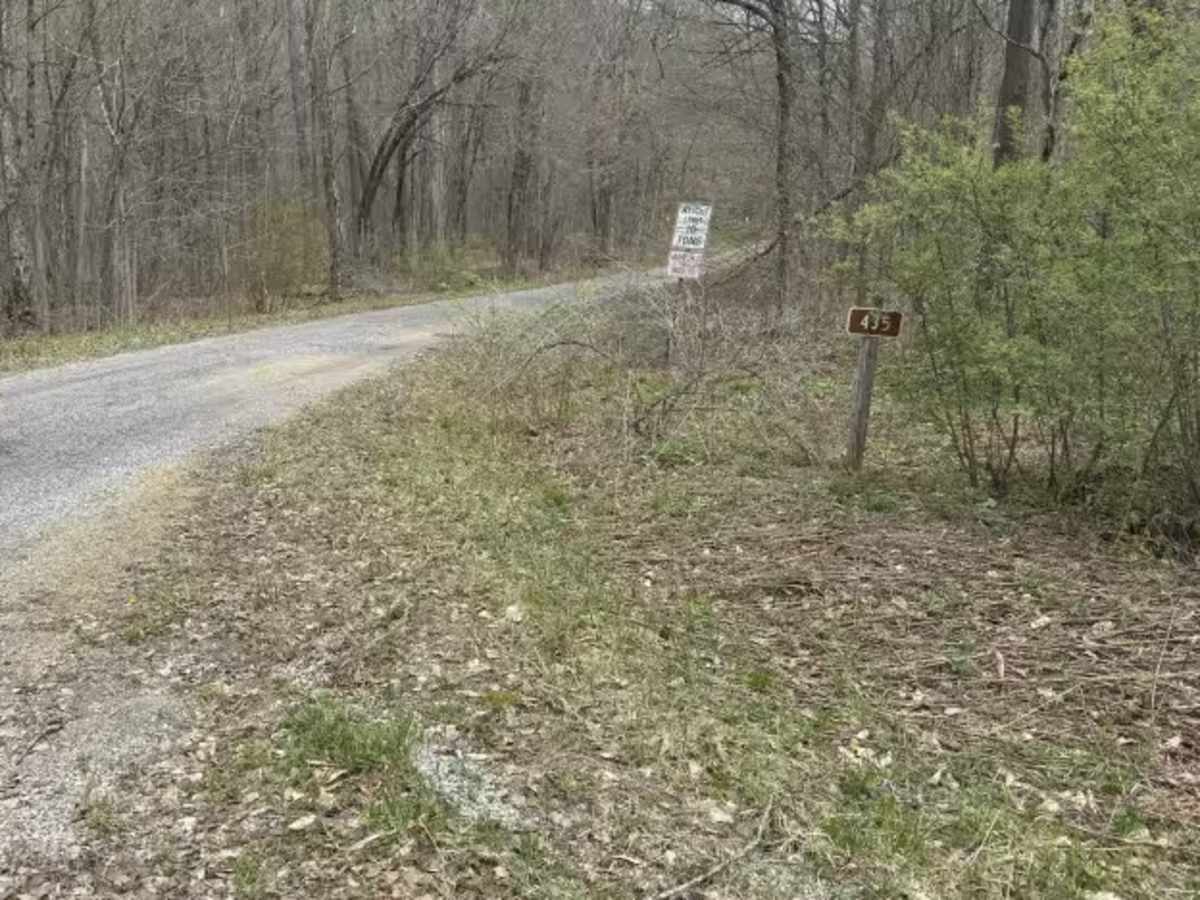 East Bucklick - FS 435 trail photo