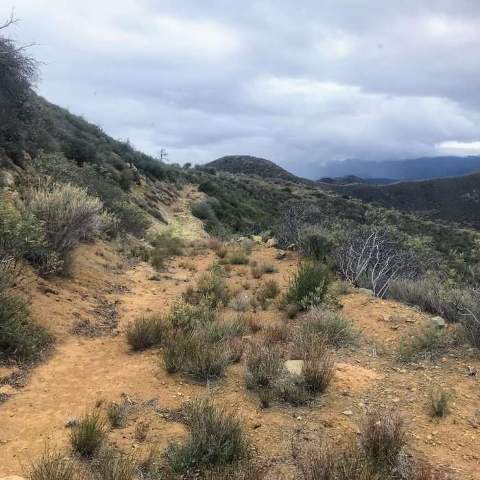 Near Hildreth Peak Road