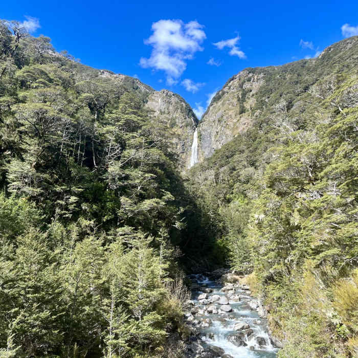 Near Devils Punchbowl Walking Track Near Devils Punchbowl Walking Track