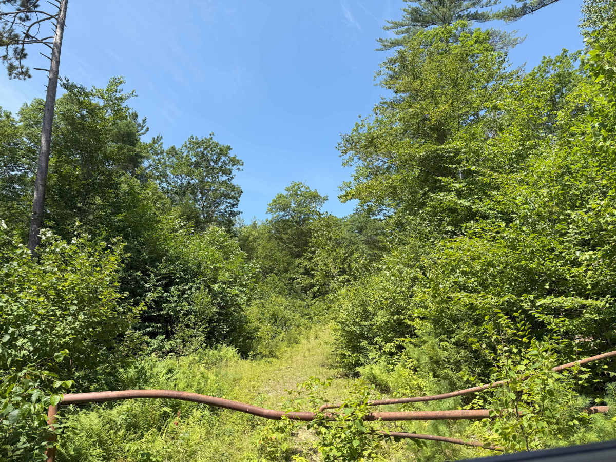 Thompson Road photo 5