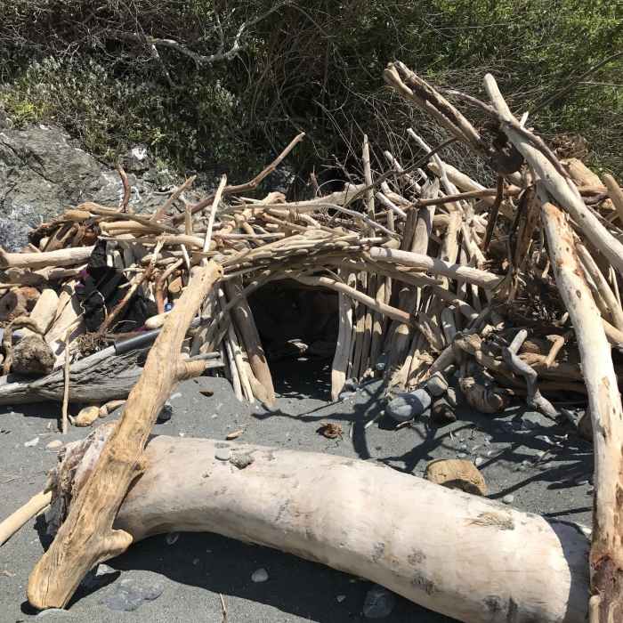 Keep your eyes peeled for driftwood forts on Klamath Beach! Near Klamath Beach Trail