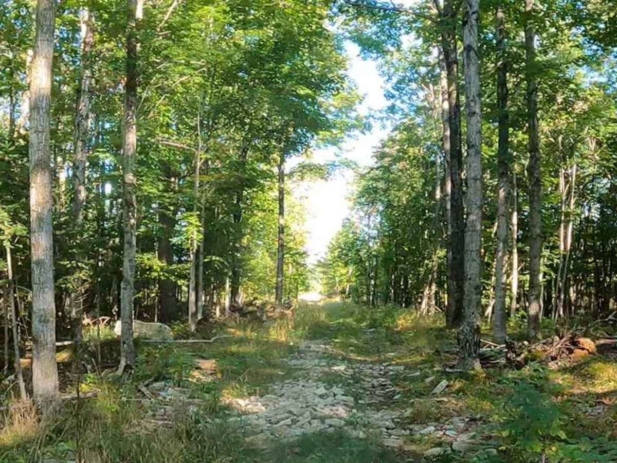 Limestone Road photo 2