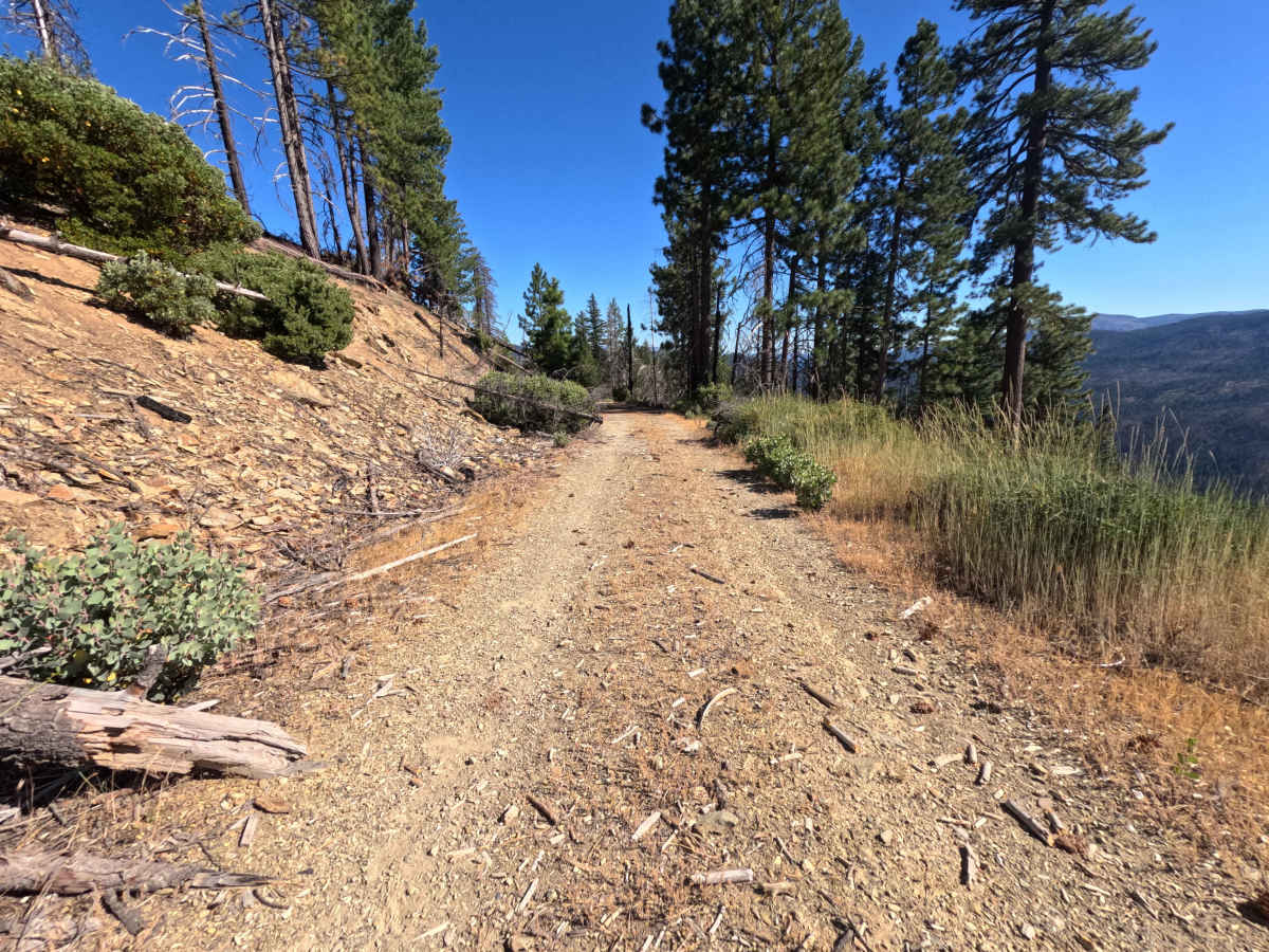 Spanish Ridge - FS 21N39 trail photo
