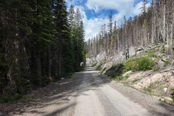 Trout Creek of the Selkirk
