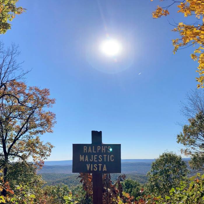 Near Allegheny Front Trail (South)