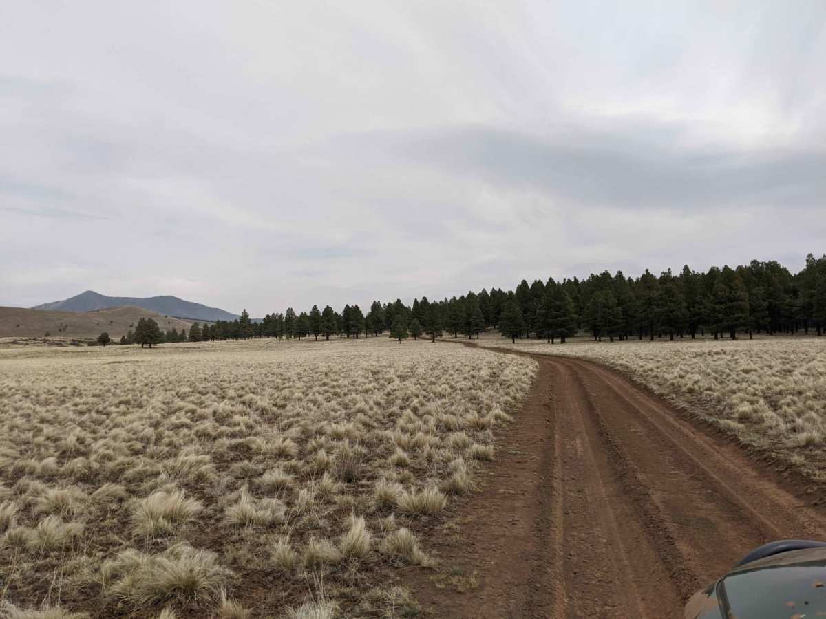 Blue Tree Road photo 4