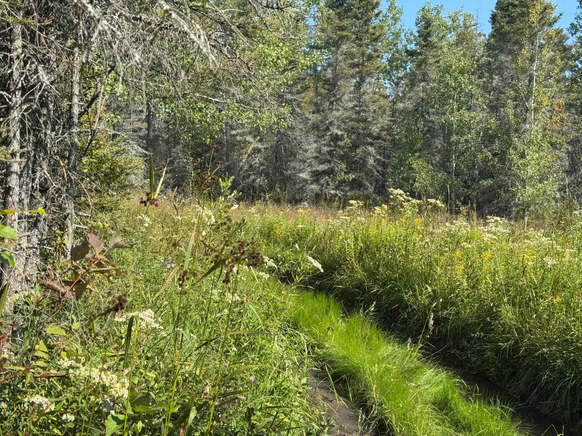 Rimrock Camp Road photo 5