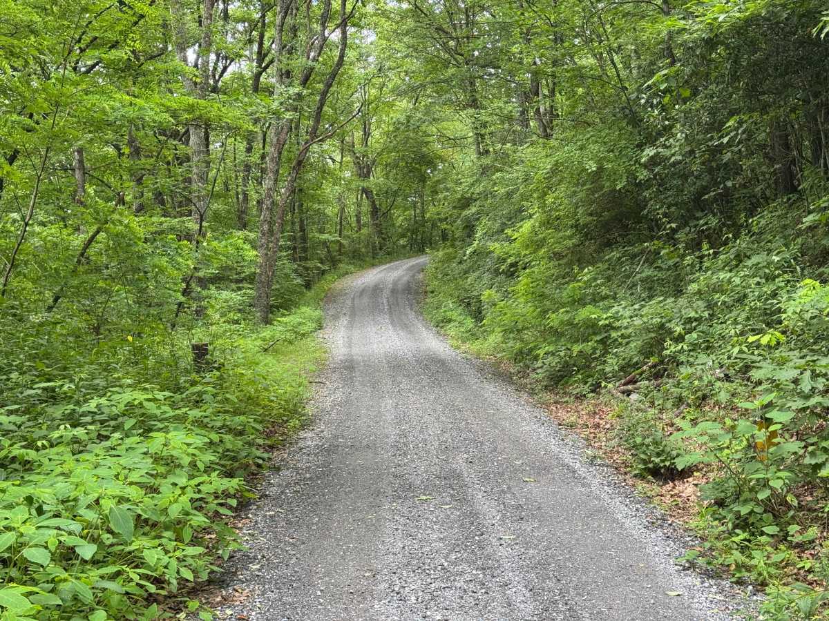 Upper Nantahala - FS 67 photo 3