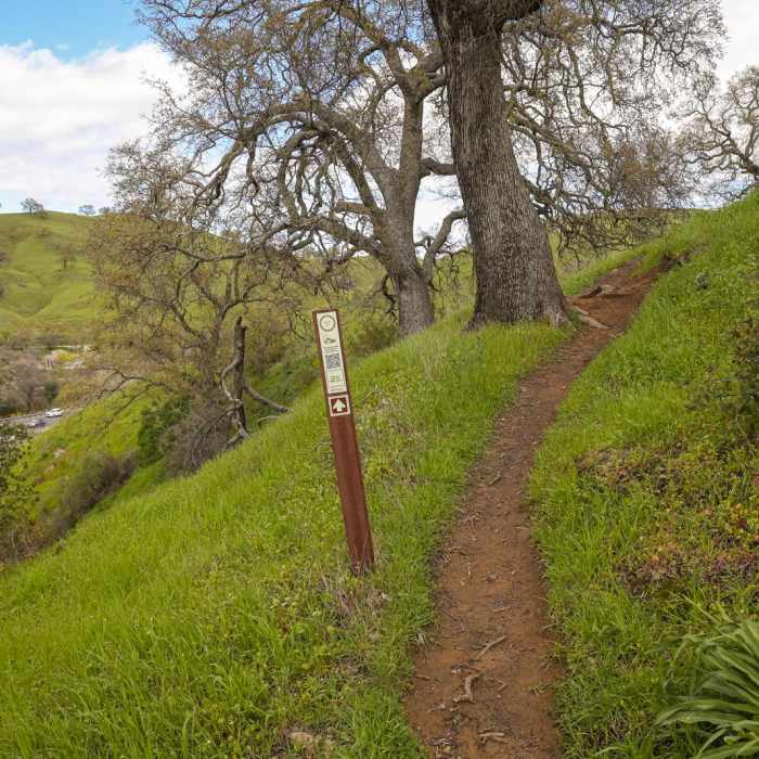 Near Pena Adobe Loop Trail