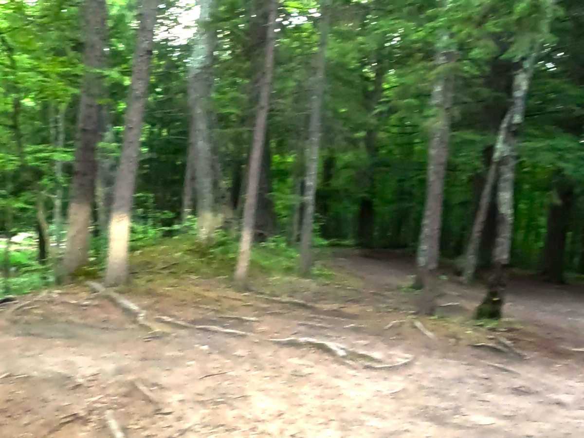 ORV Route MA - 15881  photo 4