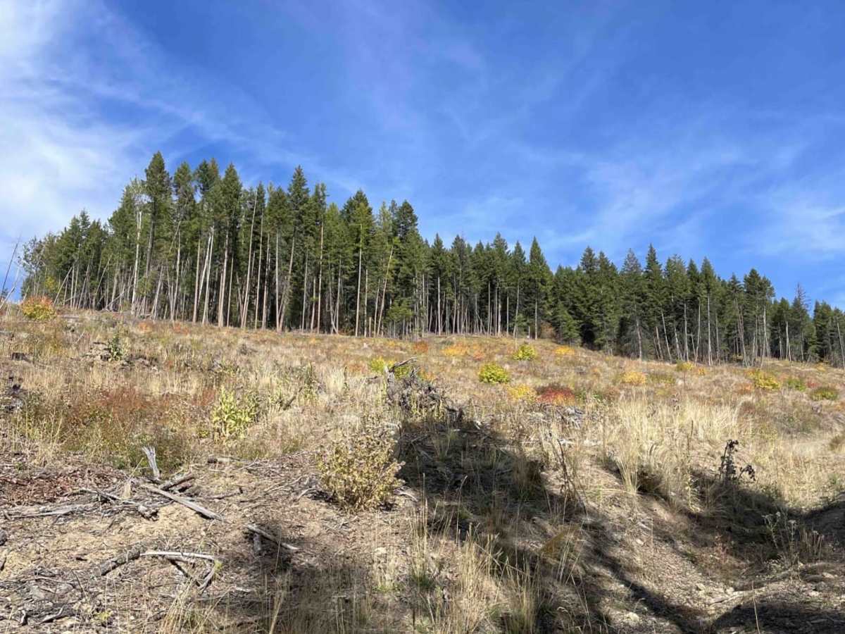 Coopers Hang Gliding trail photo