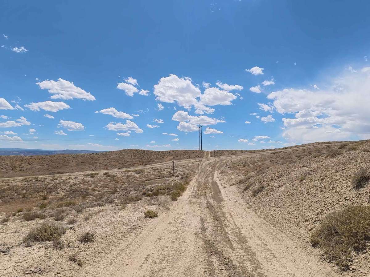 BLM 177 photo 3