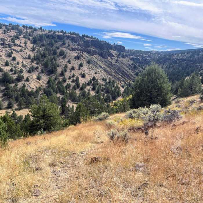 Near Donner Und Blitzen River Hike Near Donner Und Blitzen River Hike