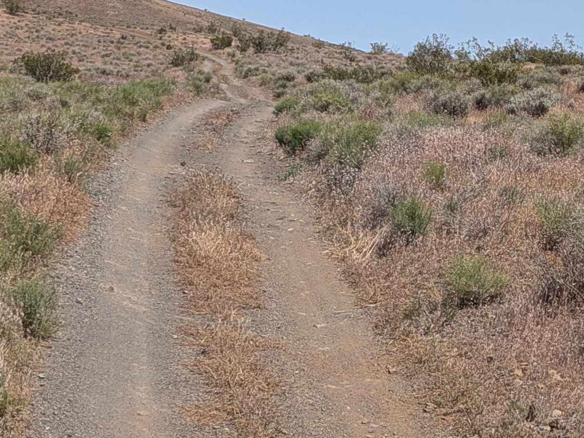 Mesquite Canyon South trail photo