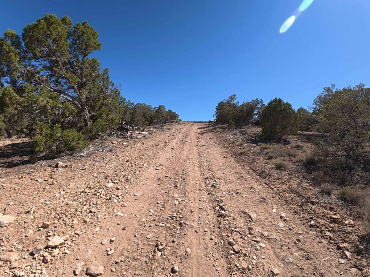 Shavano Loop photo 3