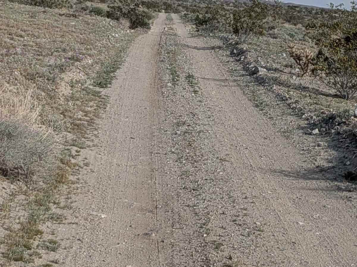 Truckhaven Trail West trail photo
