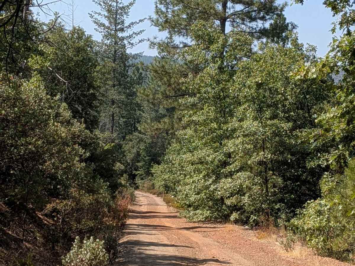 FS 1S15 trail photo