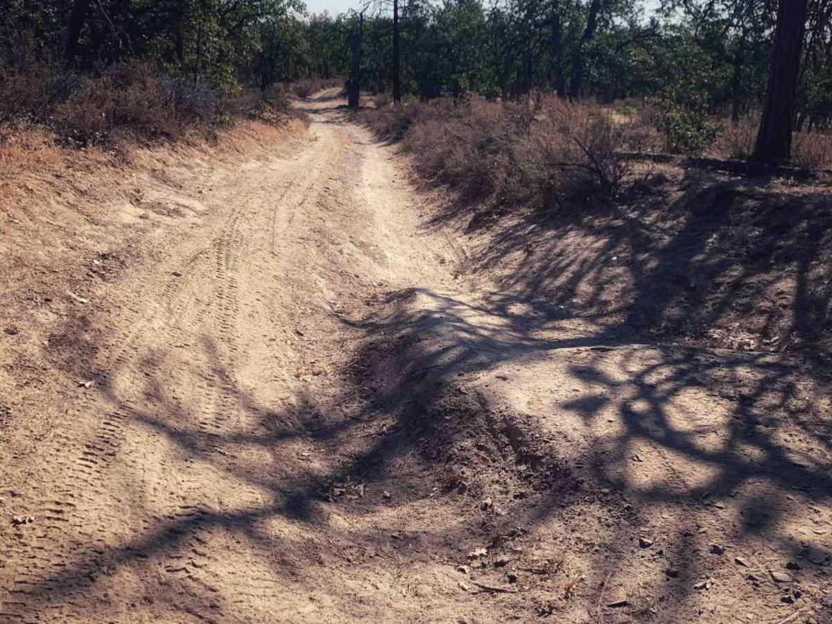 Little Badger Creek South Road photo 2