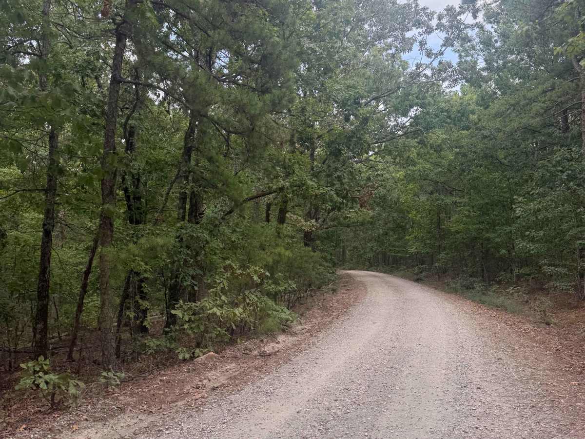 South Winona Forest Road trail photo