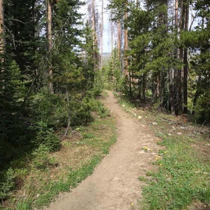 As you enter the trail... Near Valley Trail