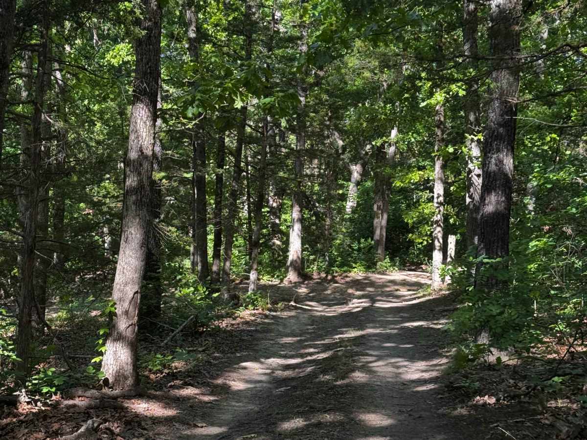 Inner Trail 17 photo 3