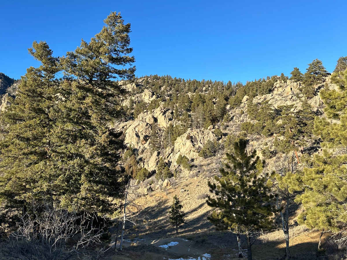 Little Fourmile Road - FS 373 photo 3