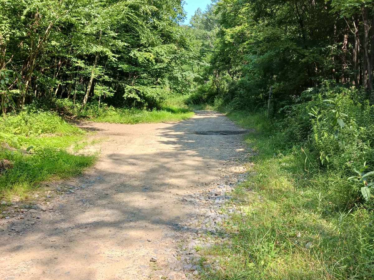 Lower Terrace Road - Rock Run Recreation Area photo 3