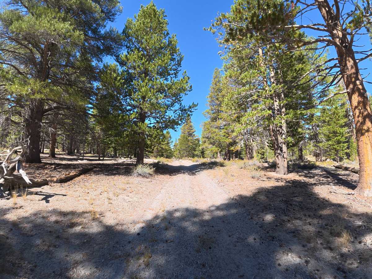 Old Rail Cutoff photo 5
