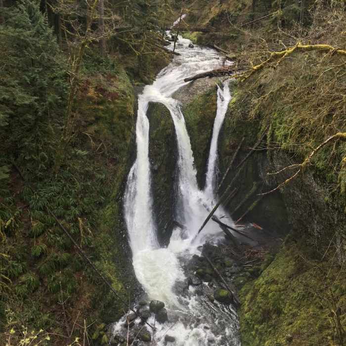 Near Oneonta Trail #424