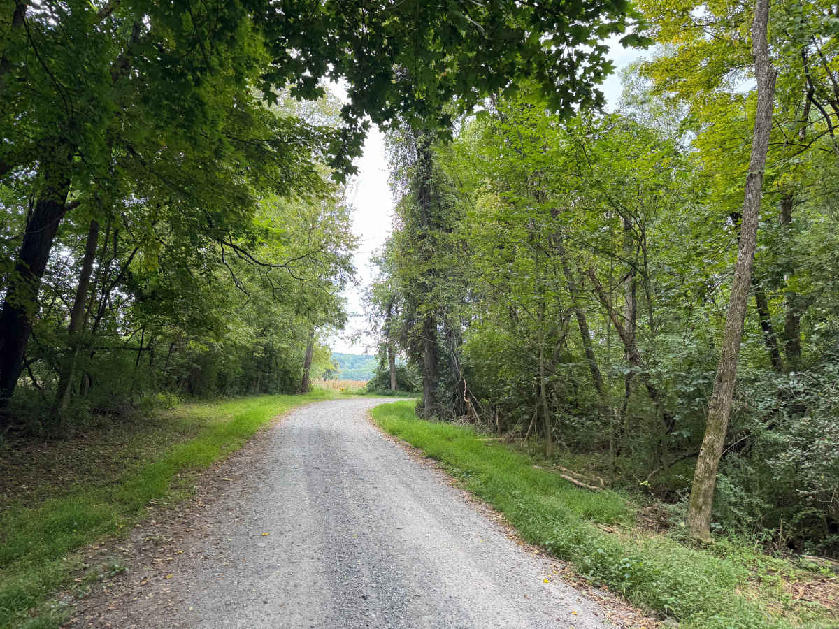 Caddo Access Road photo 4