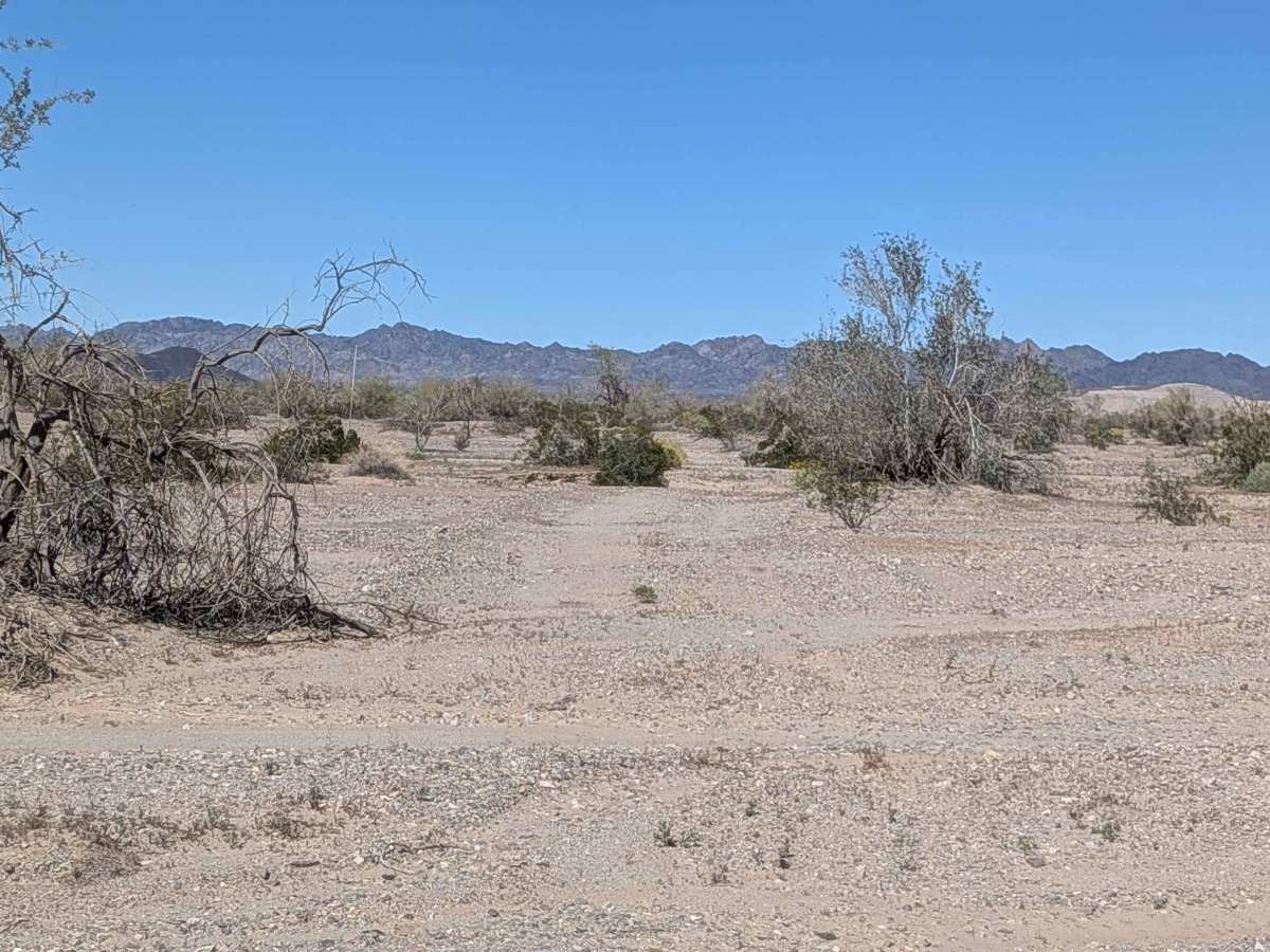 BLM 761 photo 6