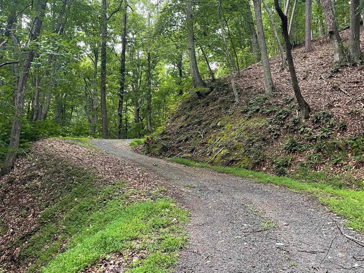 Salt Pond Road photo 6