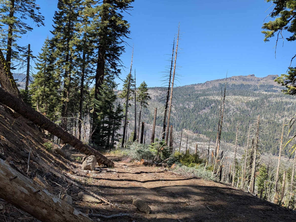 FS 6N34Y trail photo