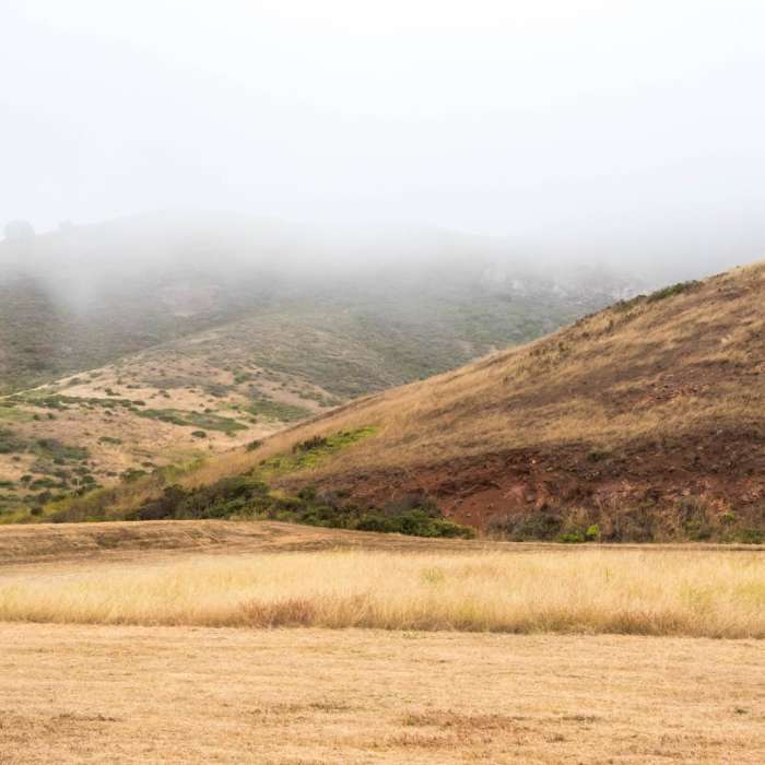 Near Rodeo Valley Trail to Miwok Trail Loop